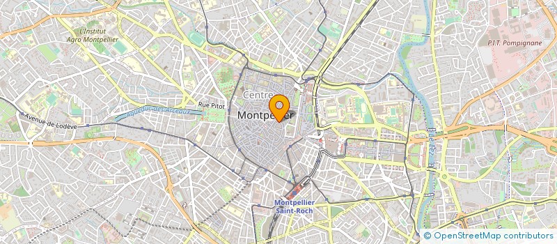 localisation de l'entreprise MADAME RAYMONDE BRANGER à MONTPELLIER