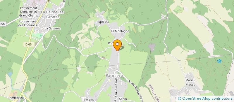 localisation de l'entreprise MADAME RAYMONDE DEPIERRE  PARMILIEU