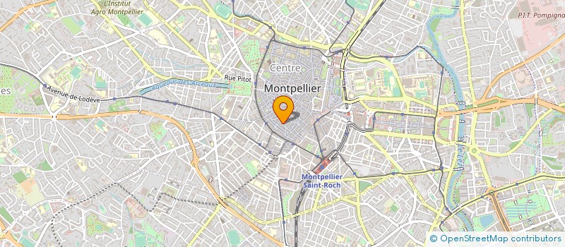 localisation de l'entreprise MADAME RAYMONDE PALAU à MONTPELLIER