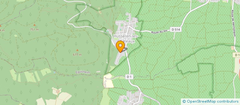 localisation de l'entreprise MADAME RAYMONDE SCHWARTZ  HUSSEREN-LES-CHATEAUX