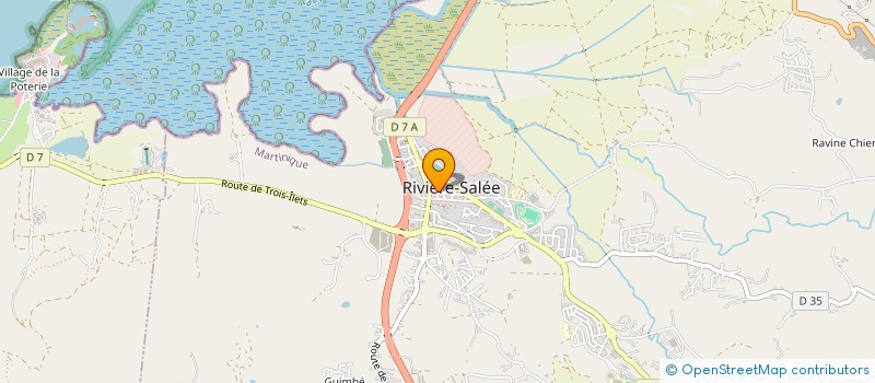 localisation de l'entreprise MADAME REBECA LEURY  RIVIERE-SALEE