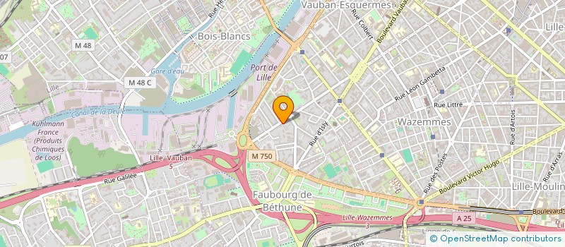 localisation de l'entreprise MADAME REBECCA BAPTISTA ENRIQUEZ à LILLE