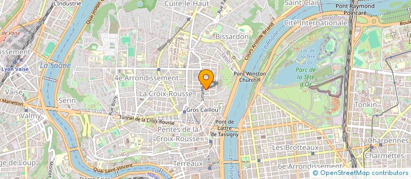 localisation de l'entreprise MADAME REGINA KOSMAN  LYON