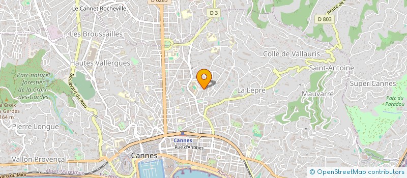localisation de l'entreprise MADAME REGINA SEMENOVA  CANNES