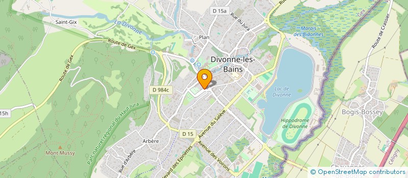localisation de l'entreprise MADAME REGINA SOYZA-HARMSEN à DIVONNE-LES-BAINS