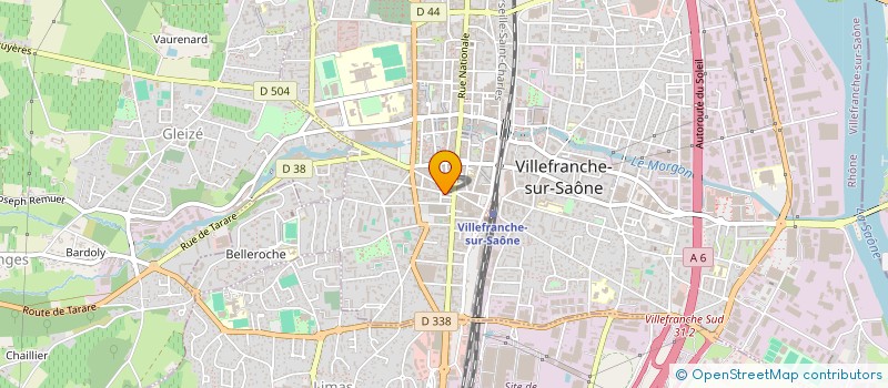 localisation de l'entreprise MADAME REGINE BORM à VILLEFRANCHE-SUR-SAONE