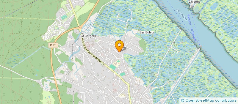 localisation de l'entreprise MADAME REGINE BOUTISSEAU  LA TREMBLADE