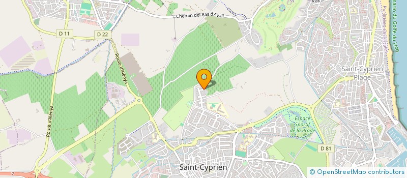 localisation de l'entreprise MADAME REGINE COHEN à SAINT-CYPRIEN