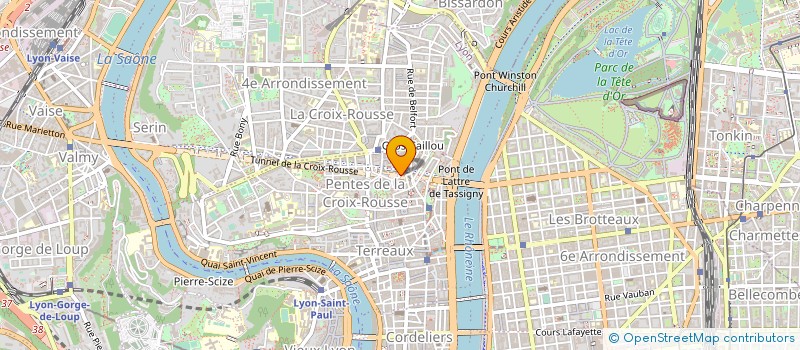 localisation de l'entreprise MADAME REGINE DE SANGLIER à LYON
