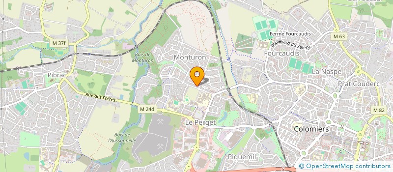 localisation de l'entreprise MADAME REGINE MICHEL à COLOMIERS