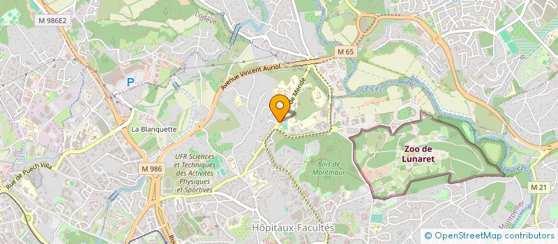 localisation de l'entreprise MADAME REGINE MIOUEL à MONTPELLIER