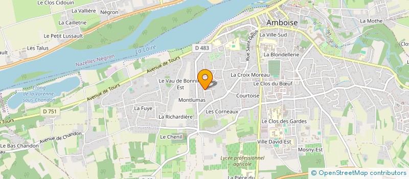 localisation de l'entreprise MADAME REGINE MONIQUE RENEE SEVEAU  AMBOISE