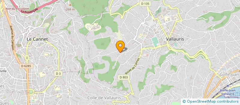 localisation de l'entreprise MADAME REGINE OGER à VALLAURIS