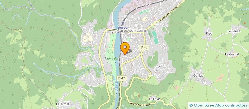 localisation de l'entreprise MADAME REGINE ROYER  AUREC-SUR-LOIRE