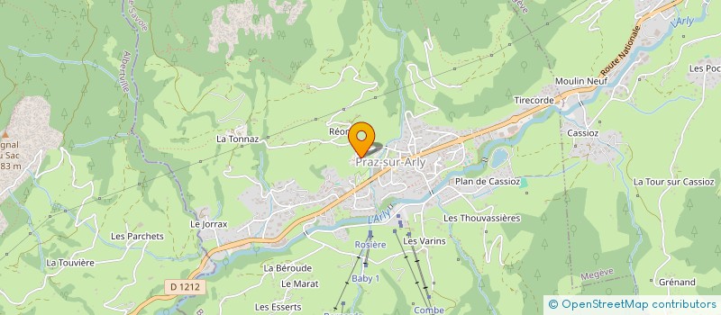 localisation de l'entreprise MADAME REGINE SOCQUET CLERC  PRAZ-SUR-ARLY