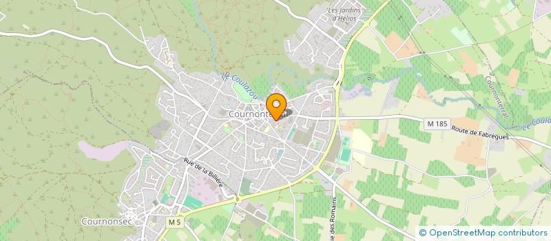 localisation de l'entreprise MADAME REGINE TINIERE à COURNONTERRAL