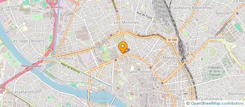 localisation de l'entreprise MADAME REGUINA CHELOUKHINA à TOULOUSE