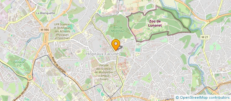 localisation de l'entreprise MADAME REINE BOGA à MONTPELLIER