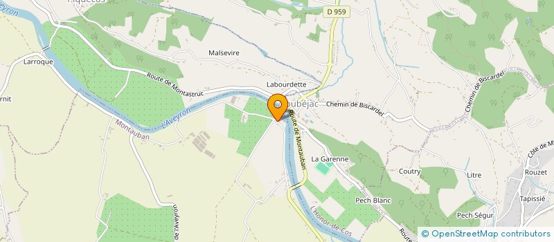 localisation de l'entreprise MADAME REINE MISPOULET à MONTAUBAN