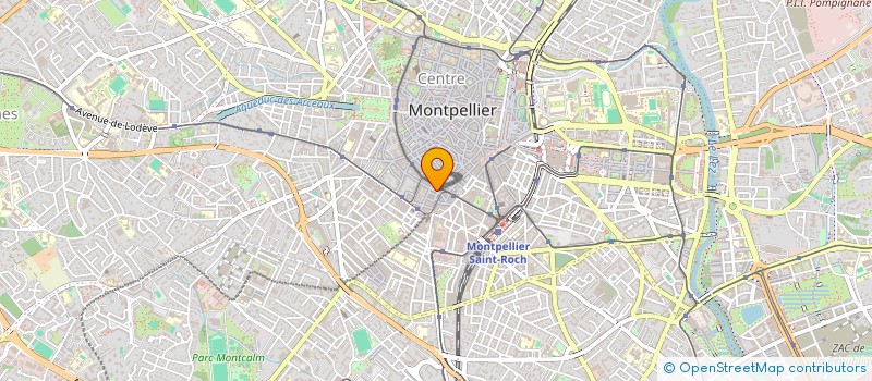 localisation de l'entreprise MADAME REINE ROCHE à MONTPELLIER