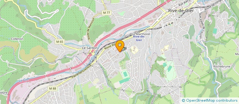 localisation de l'entreprise MADAME REJANE DUTOIT  RIVE-DE-GIER