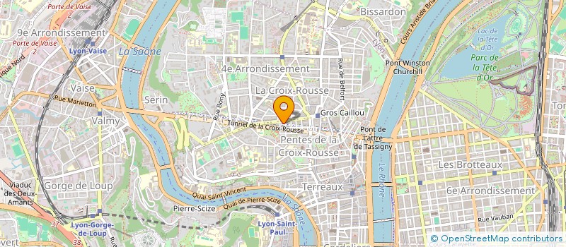 localisation de l'entreprise MADAME RENEE BELLISI à LYON