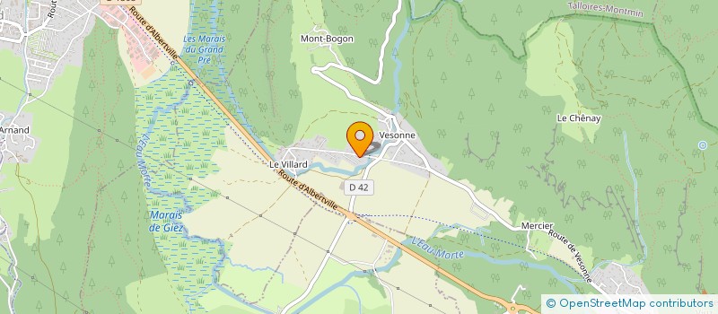 localisation de l'entreprise MADAME RENEE BOIRARD  FAVERGES-SEYTHENEX