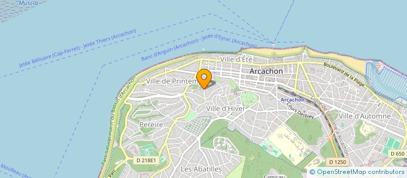 localisation de l'entreprise MADAME RENEE BOSREDON  ARCACHON