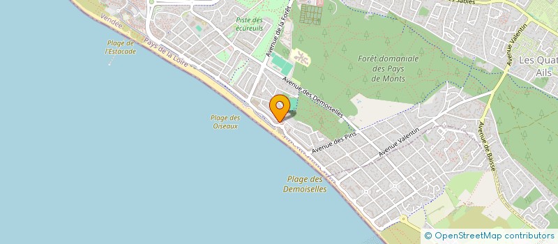 localisation de l'entreprise MADAME RENEE GALTON  SAINT-JEAN-DE-MONTS