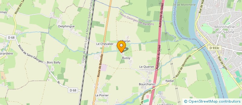 localisation de l'entreprise MADAME RENEE LEMONNIER  SAINT-GEORGES-DE-RENEINS