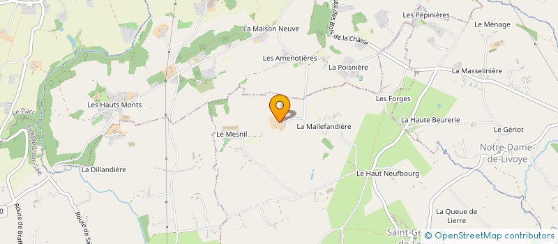 localisation de l'entreprise MADAME RENEE LEVILLAIN  SAINT-GEORGES-DE-LIVOYE