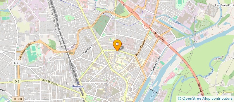 localisation de l'entreprise MADAME RENEE POIROT  ROANNE