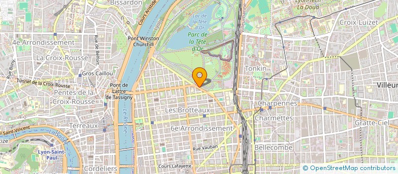 localisation de l'entreprise MADAME RENEE RICHARD  LYON