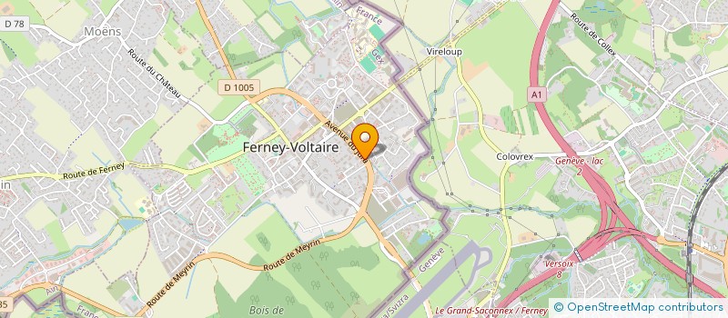 localisation de l'entreprise MADAME RENEE TOUBOUL à FERNEY-VOLTAIRE