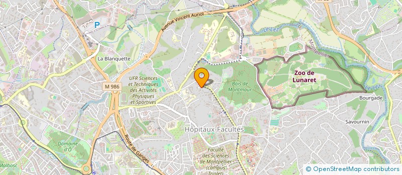 localisation de l'entreprise MADAME RHERA ABDI à MONTPELLIER