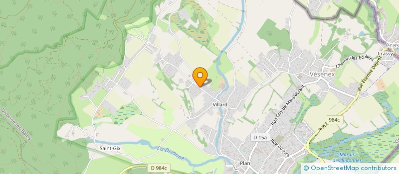 localisation de l'entreprise MADAME RHISLAINE INTISSAR  DIVONNE-LES-BAINS