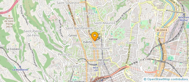 localisation de l'entreprise MADAME RIM SELMI à NICE