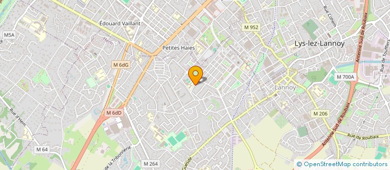 localisation de l'entreprise MADAME RIZLAINE BADAOUI  HEM