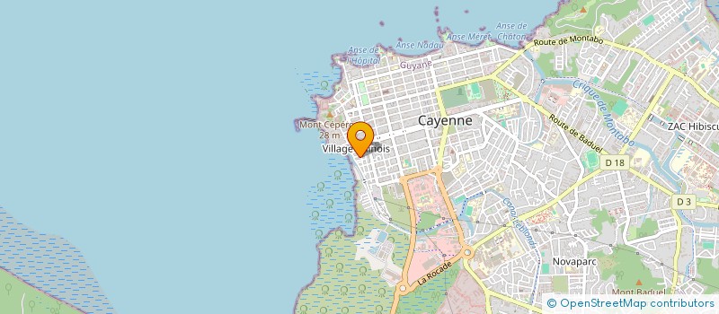 localisation de l'entreprise MADAME ROBERTA BRUNO  CAYENNE