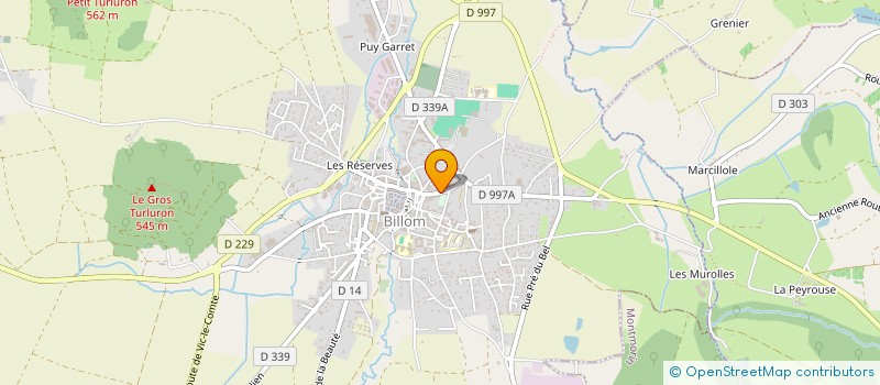 localisation de l'entreprise MADAME ROBYN ROSS  BILLOM