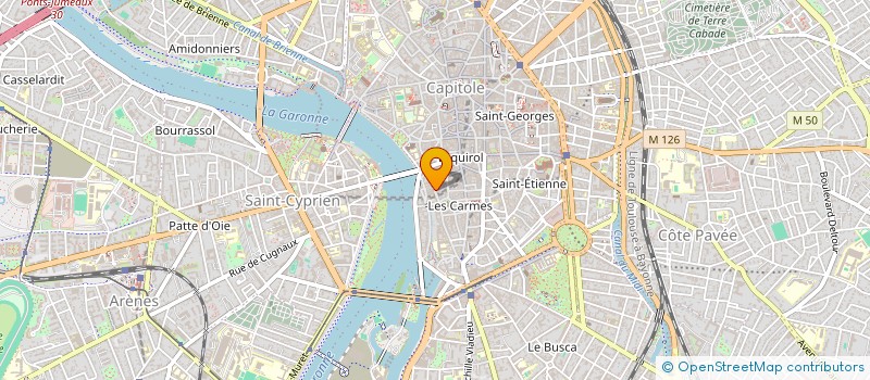 localisation de l'entreprise MADAME ROGER COLINE à TOULOUSE
