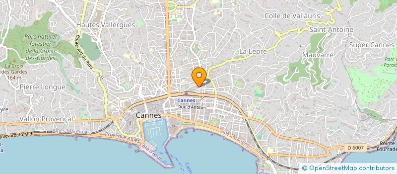 localisation de l'entreprise MADAME ROKSOLANA MALIARENKO à CANNES