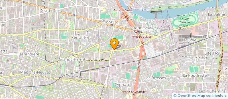 localisation de l'entreprise MADAME ROLANDE LINOSSIER  VILLEURBANNE