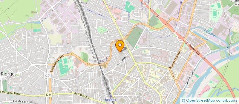 localisation de l'entreprise MADAME ROLINE DRASSE  ROANNE