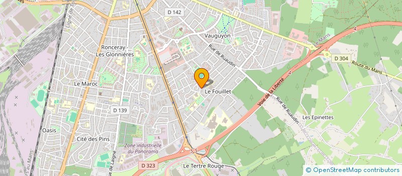 localisation de l'entreprise MADAME ROMAINE SAVANE  LE MANS