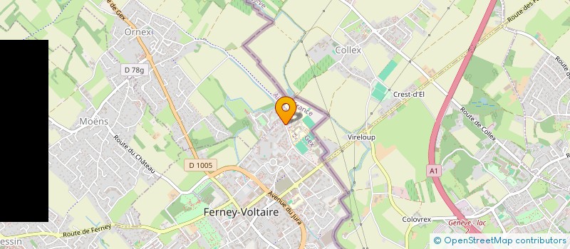 localisation de l'entreprise MADAME ROMAN GEBREGZIABHER à FERNEY-VOLTAIRE