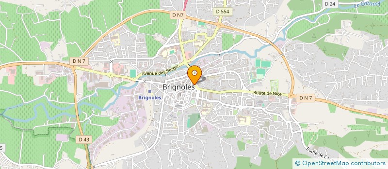 localisation de l'entreprise MADAME ROMANA VIERU à BRIGNOLES