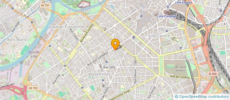 localisation de l'entreprise MADAME ROMANE BRIOUT à LILLE