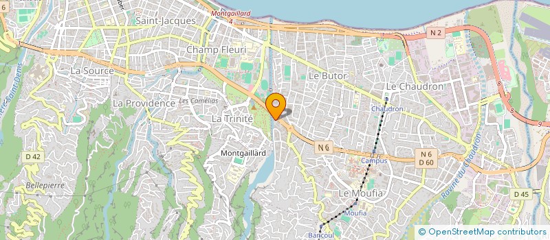 localisation de l'entreprise MADAME ROMANE RAMSAMY  SAINT-DENIS