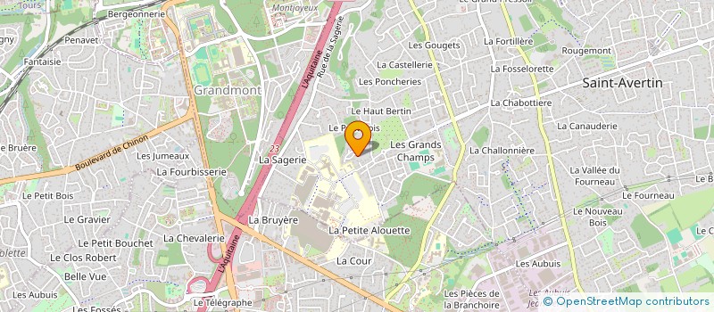 localisation de l'entreprise MADAME ROMANE SIMON  SAINT-AVERTIN